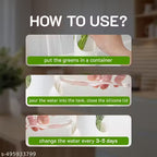Premium Herb Keeper & Freshness Saver – Prolongs the Life of Herbs & Greens | Pack of 1